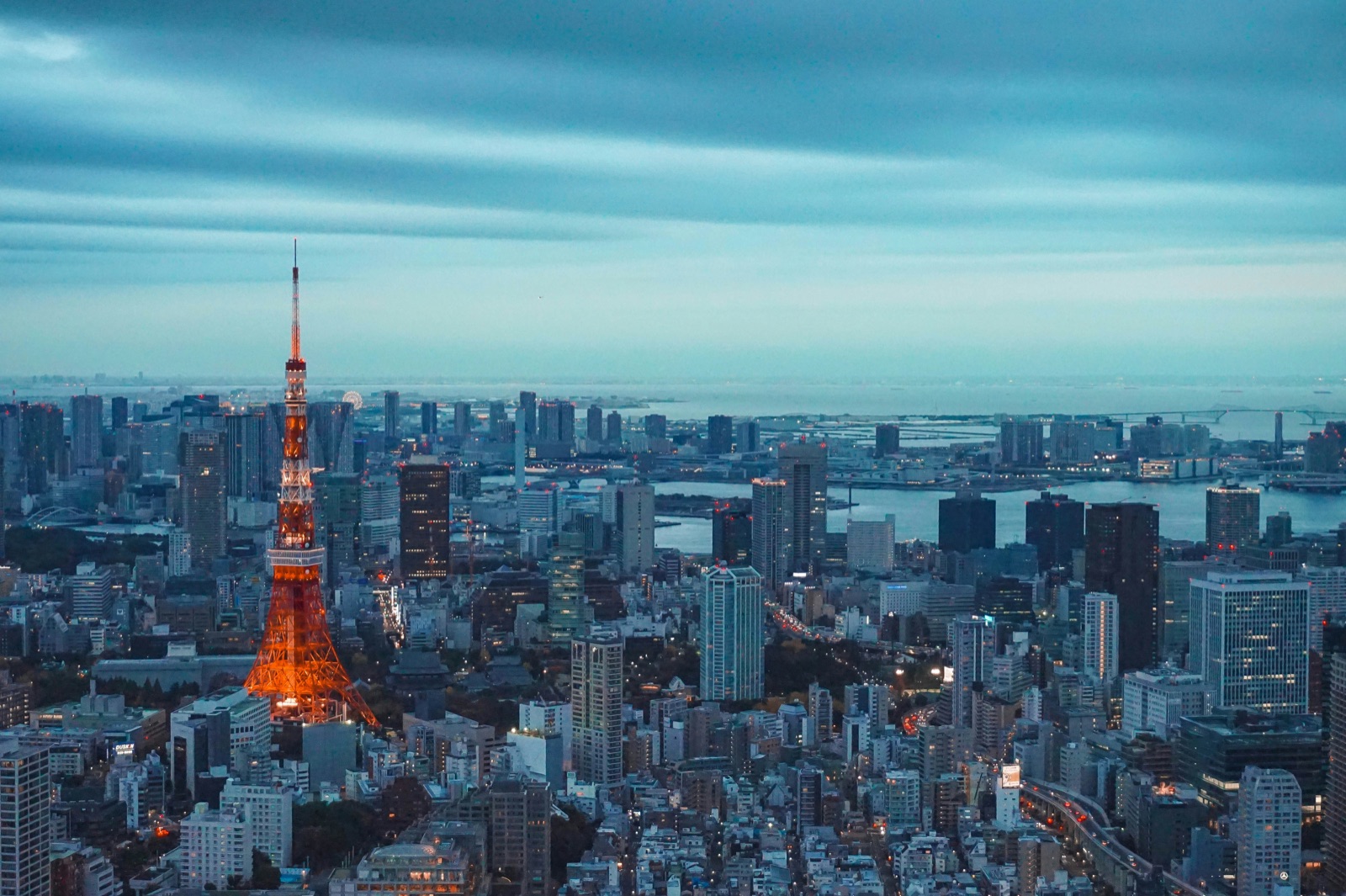 Shibuya-Kreuzung bei Nacht in Tokio, Japan