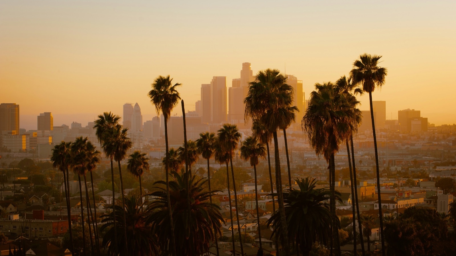 Skyline von Los Angeles mit Palmen, Kalifornien, USA
